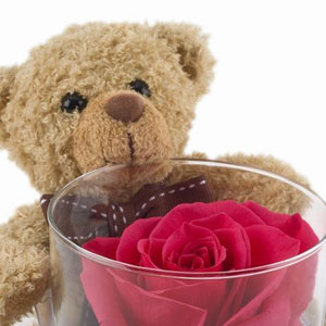 Nous sommes heureux de vous pr�senter notre nouvelle gamme de produits issue de la rose �ternelle D�esse. D�couvrez d�s � pr�sent cette ravissante verrine contenant un bouton de rose rose. Un petit ourson enlace avec tendresse l'objet. Raffinement et d�licatesse sont au rendez-vous avec cette cr�ation qui habillera votre int�rieur et sera le cadeau id�al pour d�clarer votre flamme, ou pour faire plaisir � l'occasion d'un anniversaire ou d'une naissance !