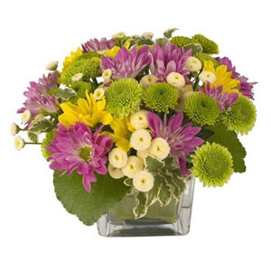 FLORE