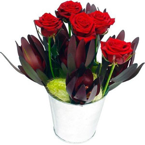 D�couvrez d�s � pr�sent cette toute nouvelle cr�ation r�alis�e par votre artisan fleuriste. Compos�e de roses rouges et d'un feuillage d�licat, Eg�rie deviendra � coup s�r un accessoire de go�t et de charme au sein de votre int�rieur. Egerie, c'est aussi le cadeau id�al pour faire plaisir � vos proches. Alors n'h�sitez plus, et craquez pour cette nouvelle composition !