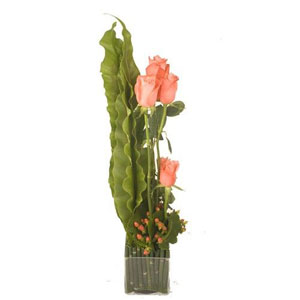 Ana�s est une composition a�rienne, d�licate et l�g�re. Les roses p�che jouent avec le feuillage et forment une d�licieuse harmonie florale au parfum poudr�. Un v�ritable r�gal pour les sens et un accessoire d�coratif de charme. Offrez sans h�siter cette cr�ation raffin�e pour combler vos proches d'un bonheur spontan�.