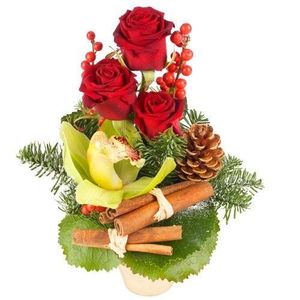 Une composition craquante !
 Mignonne � croquer, Divin est une petite composition qui associe � merveille la beaut� des roses rouges � la gr�ce des fleurons de cymbidium verts. Agr�ment� de feuillage de saison, de fagots de cannelle et de pommes de pin, Divin est tout simplement le cadeau id�al pour faire plaisir � vos proches !
 Le conseil du fleuriste 
A r�ception de votre composition, humidifiez la mousse tous les 2 jours en prenant soin d�en �carter les fleurs. 