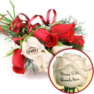 ROSES MARQUEES MAMIE