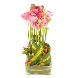 Florajet vous fait d�couvrir cette nouvelle cr�ation florale au charme contemporain. Compos�e de renoncules d'un rose tendre, d'hypericum, et d'un jeu de feuillage, L�onie est le cadeau id�al pour la f�te des belles-m�res ! Travaill�e en hauteur, cette composition diffusera un parfum raffin� et apportera charme et douceur � tous les int�rieurs.
