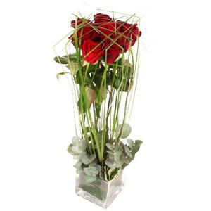 bouquet des fleurs :  ROMEO