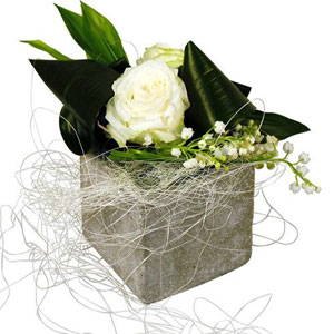 bouquet des fleurs :  BONNE ETOILE