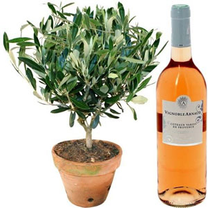 OLIVIER + VIN ROSE