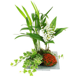 bouquet des fleurs :  CLAIRMARAIS