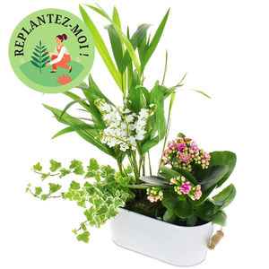 bouquet des fleurs :  BONNEVAUX