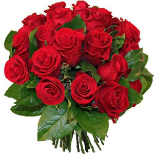 RED RUBIS (FORMULE ECONOMIQUE)