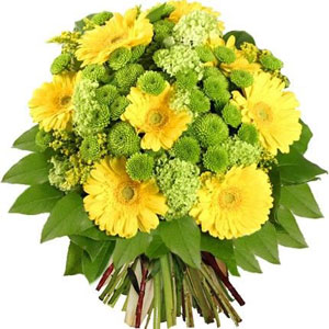 Florajet innove et vous propose un bouquet aux couleurs de l`�t� qui �gaiera votre habitat ou celui de l'heureux �lu(e) � qui vous l`offrirez. Germinis jaunes et santinis rivalisent de beaut� pour vous s�duire. Offrez-vous un rayon de soleil !