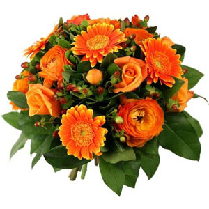 Orange sucr�e
Aussi gourmand qu'une orange qu'on savoure tout juste cueillie, Malaga porte en lui toute la saveur sucr�e de l'Espagne. Voici un d�licieux bouquet � d�couvrir absolument !