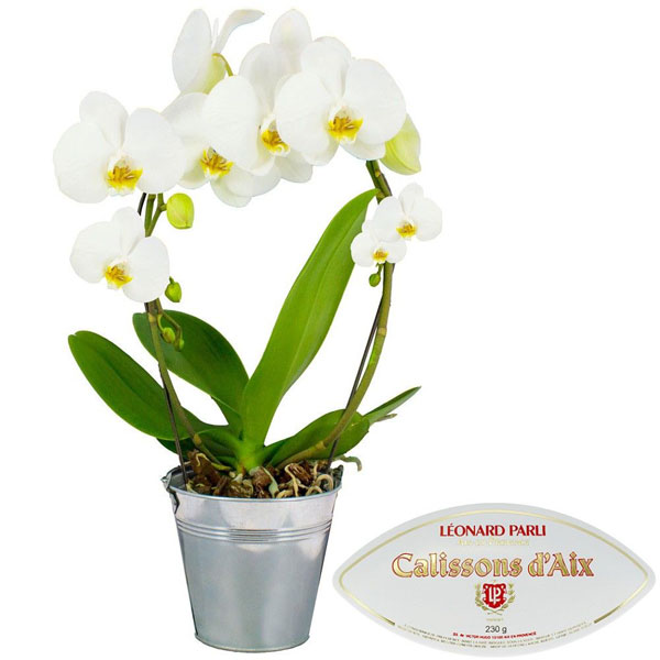 Cadeaux Gourmands ORCHIDEE ANSE BLANCHE + CALISSONS