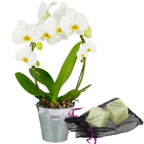 Cadeaux Sexy ORCHIDEE ANSE BLANCHE + DES SEXY