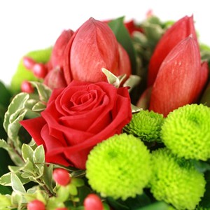 Douceur acide

Ce bouquet est comme un bonbon � savourer. Acide et doux � la fois, il nous entra�ne dans un �lan de candeur, vers un retour � l��ge tendre. A offrir aux grands enfants !
Le conseil du Fleuriste
Coupez les tiges en biseaux et changer l�eau du bouquet tous les 2 ou 3 jours.