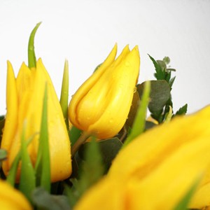 Embellissez pour quelques temps votre quotidien avec cette lumineuse brass�e de tulipes jaunes. Laissez-vous s�duire par l'�clat et la douceur qu'elles diffusent. A offrir sans h�siter en toutes occasions.
Le conseil du Fleuriste
Coupez les tiges en biseaux et changer l�eau du bouquet tous les 2 ou 3 jours.
Conservez de pr�f�rence votre bouquet de tulipes au sein d�une pi�ce fra�che

