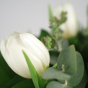 Le charme de la simplicit�
A tous les amoureux de naturel, cette jolie brass�e de tulipes blanches vous ravira. Fra�ches et d�licates, ces tulipes vous s�duiront par leur couleur immacul�e et la douceur de leurs p�tales.
Le conseil du Fleuriste
Coupez les tiges en biseaux et changez l�eau du bouquet tous les 2 ou 3 jours.
Conservez de pr�f�rence vos tulipes  au sein d�une pi�ce � l�abri de la chaleur
