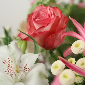 Vert profond ou c�ladon, rose drag�e ou saumon, rondeurs ou trac�s fins, ce bouquet joue les variations en toute harmonie.
