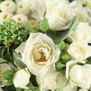 Un bouquet estival
L'�quipe Florajet est ravie de vous pr�senter son d�licat bouquet d'�t�. Travaill� dans un joli cama�eu de vert et blanc, ce bouquet  respire la douce insouciance des vacances. Soyez s�rs d'apporter bonheur et s�r�nit� en offrant cette cr�ation nomm�e 