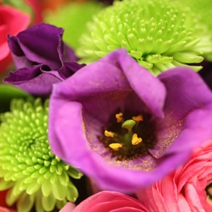 Un bouquet � croquer !

Laissez-vous tenter par cet audacieux m�lange de couleurs o� le rose, le pourpre, l�orange et le vert se marient en toute harmonie pour former le plus ravissant des bouquets. 
Compos� de santinis, de roses, et de renoncules, Sumatra est vif et attirant. Il s�duira par son originalit� et son caract�re.
Cr�ez l��v�nement et ravissez avec ce bouquet devenu l�un des  incontournables de la collection Florajet.


Le conseil du Fleuriste 

Coupez les tiges en biseaux et changez l�eau du bouquet tous les 2 ou 3 jours.
