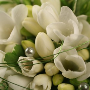 Le bouquet de mariage
Afin de c�l�brer le plus beau jour d'une vie, Florajet vous propose ce ravissant bouquet travaill� dans les tons de cr�me et de vert tendre. A la fois d�licat et �l�gant, Breva ira � ravir aux bras de la mari�e... 