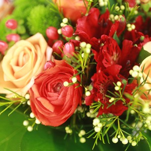 Du soleil � la maison!
Adoptez sans h�siter ce ravissant bouquet travaill� dans les tons rassurants d'orange et de rouge. Avec ses airs joyeux, Scorpion donne du baume au c�ur et illumine avec douceur votre int�rieur pour longtemps.