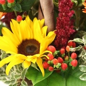 Une composition haute en couleurs!

Germinis orange, tournesols �panouis, hypericum sautillant... Opale est une ravissante composition � offrir ou � s'offrir. Elle illuminera de ses couleurs flamboyantes votre int�rieur.