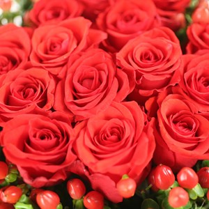 Une pierre pr�cieuse champ�tre !

De jolies roses rouges cern�es par une botte de bl�, telle est la couleur de ce rubis.  Tout le charme de cette composition r�side dans cette s�duisante association de sophistication et de naturel. 
Cet �l�gant rubis illuminera votre int�rieur de sa d�licate aura.

Le conseil du Fleuriste

A r�ception de votre composition, humidifiez la mousse tous les 2 jours en prenant soin d�en �carter les fleurs.
