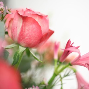 Voici un coussin o� la douceur du rose pastel domine. Une cr�ation pleine de gr�ce pour parcourir l'�ternit�.