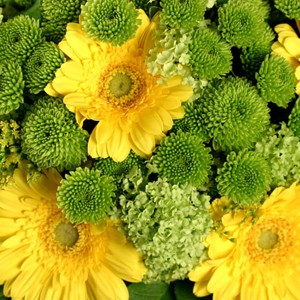 Florajet innove et vous propose un bouquet aux couleurs de l`�t� qui �gaiera votre habitat ou celui de l'heureux �lu(e) � qui vous l`offrirez. Germinis jaunes et santinis rivalisent de beaut� pour vous s�duire. Offrez-vous un rayon de soleil !