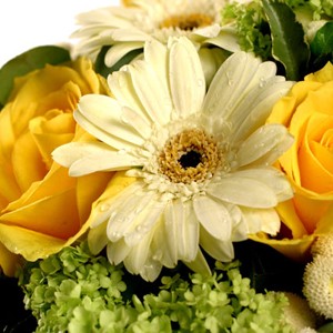 Un petit air du sud

Vous appr�cierez sans aucun doute cet ing�nieux m�lange de roses jaunes et de germinis blancs dans un �crin de feuillage d'un vert �clatant ! 
Ce charmant bouquet �voque les couleurs chaudes des paysages de Provence peints par C�zanne.