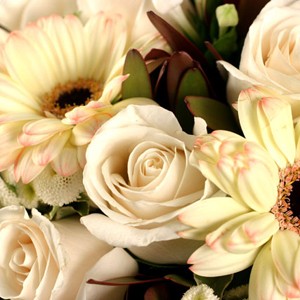 Un bouquet d'exotisme
