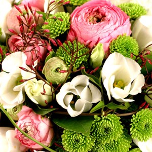 Douces renoncules
L'�quipe Florajet.com vous invite � partager  le plus magique des songes. Compos� de renoncules roses et de santinis, la tendresse et la douceur sont les ingr�dients majeurs de ce joli bouquet. A offrir sans h�sitation � tous les doux r�veurs�