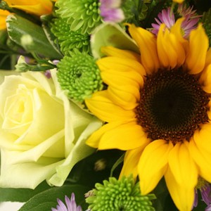 La splendeur du tournesol
Nous vous proposons ici un bouquet o� le charme du tournesol se r�v�le avec �l�gance. Delft est g�n�reux et subtil.  Voici  une cr�ation qui sublimera de son �clat votre int�rieur.
Le conseil du Fleuriste
Coupez les tiges en biseaux et changez l�eau du bouquet tous les 2 ou 3 jours.