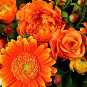 Orange sucr�e
Aussi gourmand qu'une orange qu'on savoure tout juste cueillie, Malaga porte en lui toute la saveur sucr�e de l'Espagne. Voici un d�licieux bouquet � d�couvrir absolument !