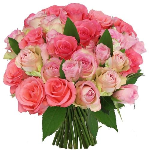 Bouquet de roses INTENSEMENT ROSE