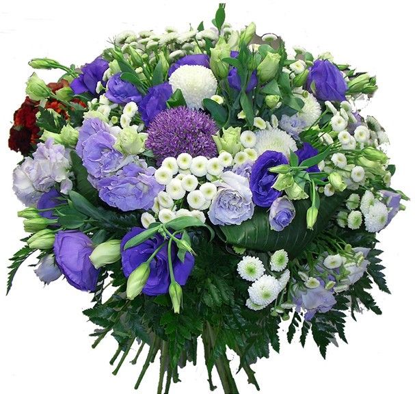 http://www.florajet.com/produits/zoom/138.jpg