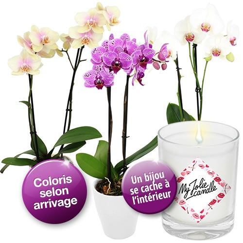 Cadeaux insolites 1 ORCHIDEE 2 BRANCHES + BOUGIE