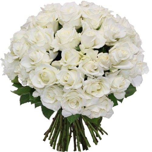 Livraison du bouquet de roses "50 ROSES BLANCHES" par Florajet