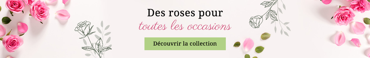 Collection de roses