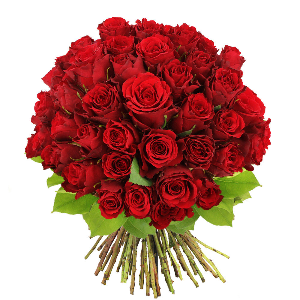 bouquet-de-roses-rouges