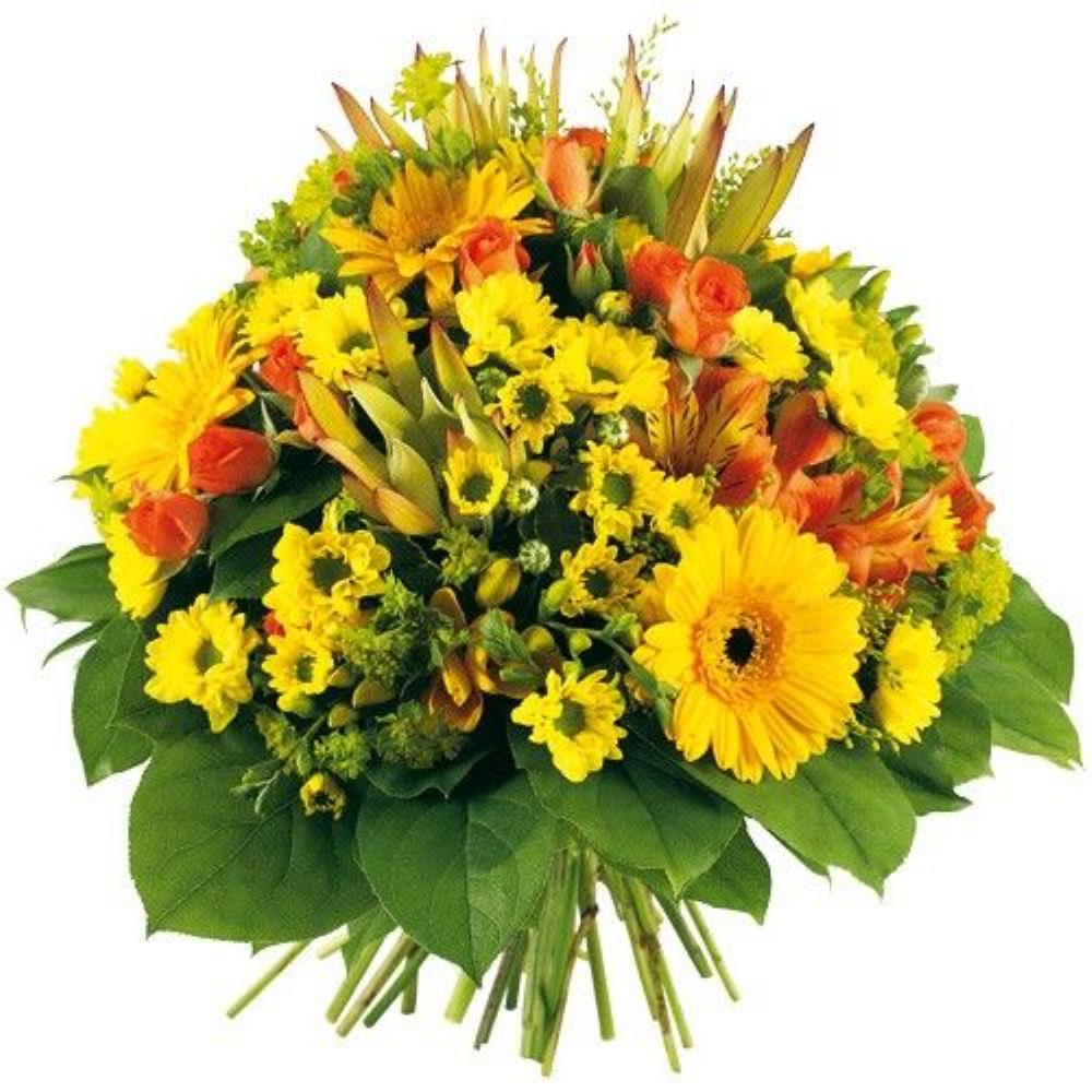 Bouquets composé ZEPHIR