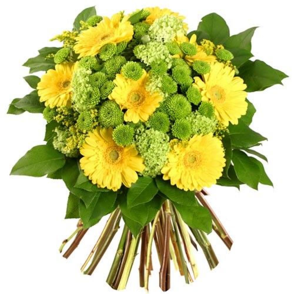 Bouquets composé ANTLIA
