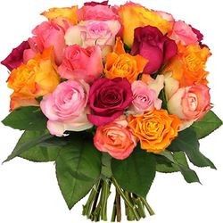 ROSES MULTICOLORES ROSES MULTICOLORES