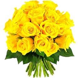 30 ROSES JAUNES 30 ROSES JAUNES