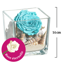 ROSE STABILISEE BLEU CLAIR + COQUILLAGE + VERRERIE ROSE STABILISEE BLEU CLAIR + COQUILLAGE + VERRERIE