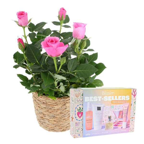 Fleurs et cadeaux ROSIER ROSE + CACHE POT OSIER + BOX VITAMINE