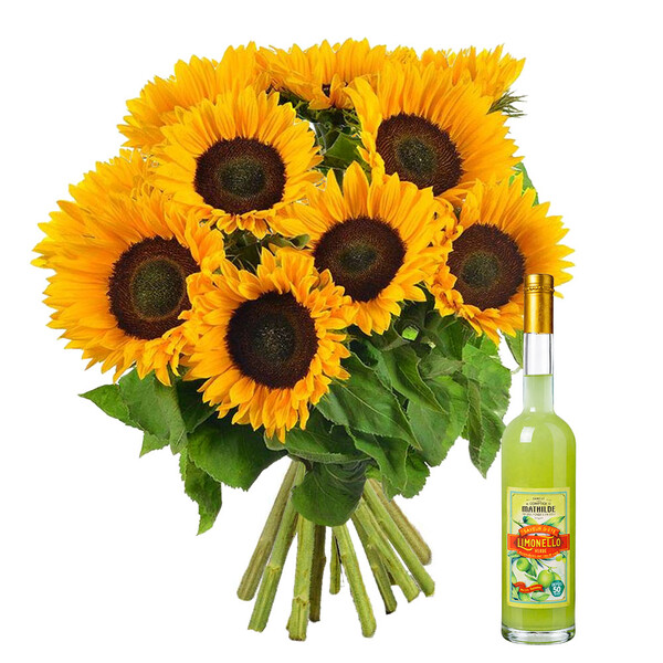 Fleurs et cadeaux BOUQUET DE 10 TOURNESOLS + LIMONELLO VERDE