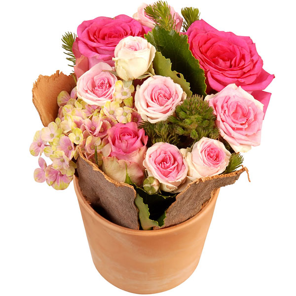 Composition SWEET ROSE
