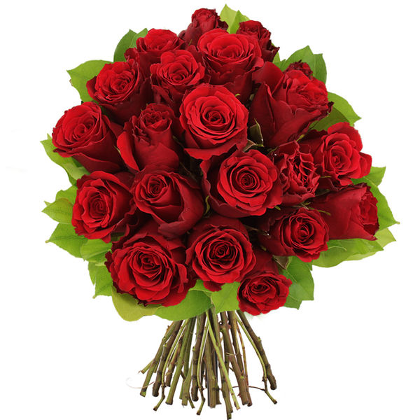 Bouquet de 20 Roses Rouges - Livraison en Express