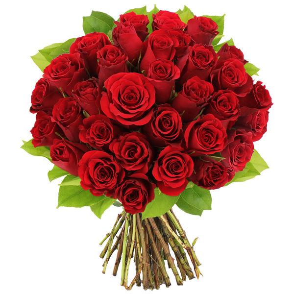 Bouquet de 30 Roses Rouges - Livraison en Express
